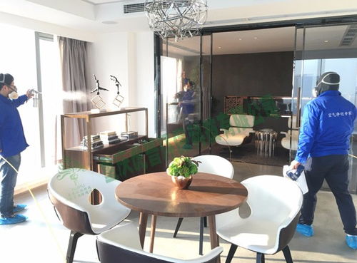 合川專業除甲醛服務 室內空氣質量治理與凈化器租賃全解析